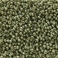  10 g 11/0 Seedbeads, Duracoat Galvanized Dark Steel Green 