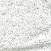 10 g 11/0 Seed Beads, White Pearl Ceylon