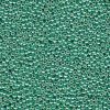 10 g 8/0 Seedbeads, Duracoat Galvanized Dark Mint Green