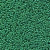 10 g 11/0 Seedbeads, Duracoat Opaque Dyed Deep Green
