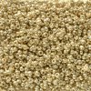 10 g 11/0 Seedbeads, Duracoat Galvanized Pale Gold