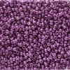 10 g 11/0 Seedbeads, Duracoat Galvanized Purple Orchid