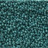 10 g 11/0 Seedbeads, Duracoat Galvanized Poseidon Blue