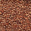 5 g 10/0 Delicas, Duracoat Galvanized Muscat