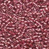 5 g 10/0 Delicas, Duracoat Galvanized Dark Coral