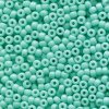 10 g 8/0 Seedbeads, Duracoat Opaque Dyed Seafoam