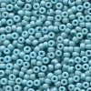 10 g 8/0 Seedbeads, Duracoat Opaque Dyed Slate