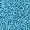 10 g 11/0 Seedbeads, Duracoat Opaque Dyed Aqua Blue