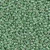 10 g 15/0 Seedbeads, Duracoat Galvanized Mint