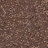 10 g 11/0 Seed Beads, Bronze