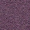 10 g 11/0 Seed Beads, Duracoat Galvanized Eggplant