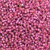 10 g 8/0 Seed beads, Duracoat Silverlined Fuchsia