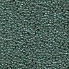 10 g 15/0 Seed Beads, Duracoat Galvanized Sea Green