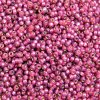 10 g 11/0 Seedbeads, Duracoat Silverlined Fuchsia