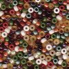 10 g 11/0 Seed Beads, Mix-Earthtone