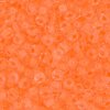 10 g 11/0 Seed Beads, Luminous Creamsicle