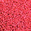 10 g 8/0 Seed Beads, Duracoat Silverlined Hot Pink