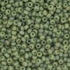 10 g 8/0 Seedbeads, Frosted Opaque Glaze Rainbow Kiwi