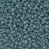 10 g 8/0 Seedbeads, Frosted Opaque Glaze Rainbow Peacock