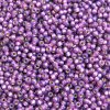10 g 8/0 Seedbeads, Duracoat Silverlined Light Amethyst