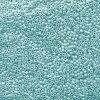5 g 11/0 Delicas, Opaque Sea Opal Luster