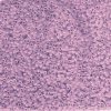 5 g 11/0 Delicas, Matted Transparent Light Amethyst