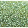 5 g 11/0 Delica, Luminous Asparagus Green