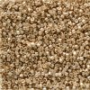 5 g 11/0 Delicas, Duracoat Galvanized Light Champagne