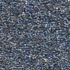 2 g 11/0 Delica,Pall. Silver Blue Gold IrisOBS! Innehller nicke