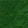 5 g 11/0 Delica, Matted Transparent Green