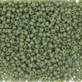  10 g 11/0 Seedbeads, Frosted Opaque Glaze Rainbow Kiwi 