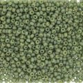  10 g 15/0 Seedbeads, Frosted Opaque Glaze Rainbow Kiwi 