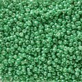  10 g 11/0 Seedbeads, Duracoat Galvanized Dark Mint Green 