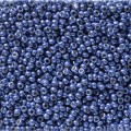  10 g 11/0 Seedbeads, Duracoat Galvanized Mermaid Blue 