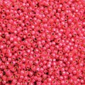  10 g 11/0 Seed Beads, Duracoat Silverlined Hot Pink 