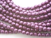 50 st Firepolished, 3 mm, Alabaster Pastel Bordeaux