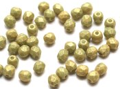 50 st Firepolished, 3 mm, Pacifica - Avocado