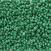 10 g 11/0 Seedbeads, Duracoat Galvanized Dark Aqua Green