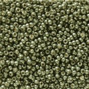 10 g 11/0 Seedbeads, Duracoat Galvanized Dark Steel Green