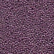 10 g 11/0 Seed Beads, Duracoat Galvanized Eggplant