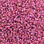 10 g 11/0 Seedbeads, Duracoat Silverlined Fuchsia