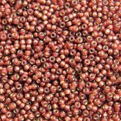 10 g 11/0 Seedbeads, Duracoat Siverlined Copper