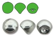 1 st mushroom, 9x8 mm, Crystal Labrador