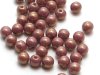 50 st runda, 4 mm, Chalk White Vega Luster