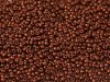 10 g 8/0 Seedbeads, Black Bronze