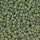  10 g 8/0 Seedbeads, Frosted Opaque Glaze Rainbow Kiwi 