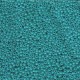  10 g 11/0 Seedbeads, Special Dyed Bright Turquoise 