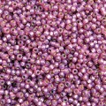  10 g 8/0 Seedbeads, Duracoat Silverlined Lilac 