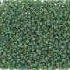  10 g 11/0 Seedbeads, Frosted Opaque Glaze Rainbow Green 