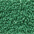  10 g 11/0 Seedbeads, Duracoat Galvanized Dark Aqua Green 
